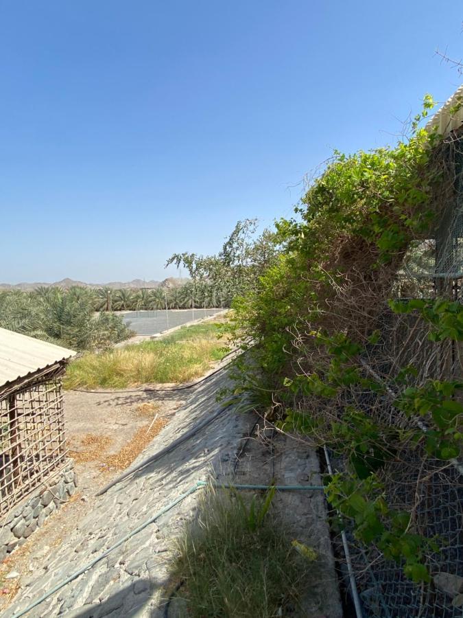 Вілла Uae Farm Qur Екстер'єр фото